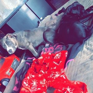 Meet your Posher, Josh